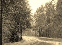 Sepia