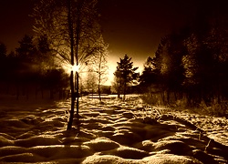 Sepia