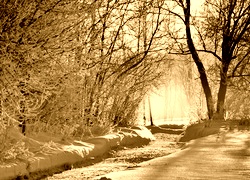 Sepia