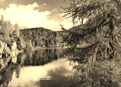Sepia