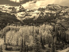 Sepia