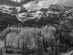 Szary
