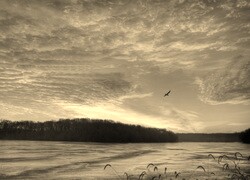 Szary + Sepia