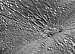 Skamielina