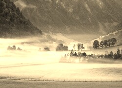 Szary + Sepia