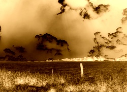 Sepia + Negatyw