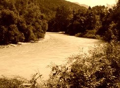 Sepia