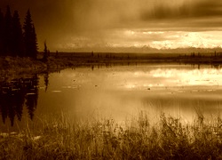 Sepia