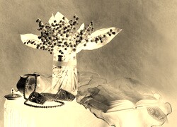 Sepia + Negatyw