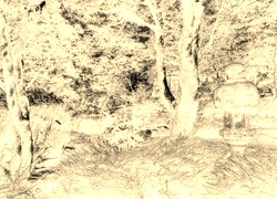 Sepia + Negatyw
