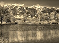 Sepia