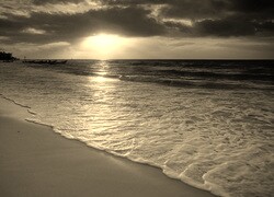 Sepia