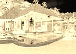 Sepia + Negatyw