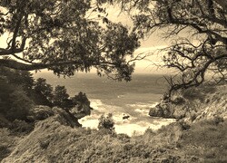 Sepia