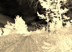 Sepia + Negatyw