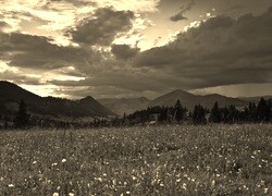 Sepia
