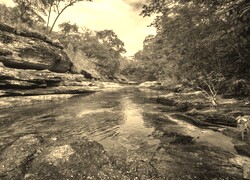 Sepia