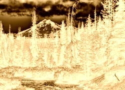Sepia + Negatyw