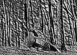 Skamielina