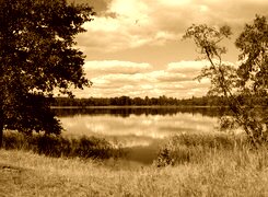Sepia