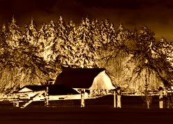 Sepia + Negatyw