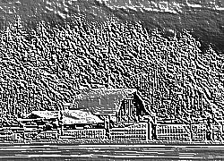 Skamielina