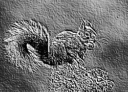 Skamielina