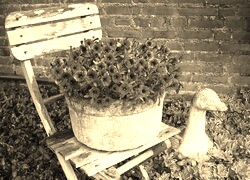Szary + Sepia