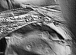 Skamielina