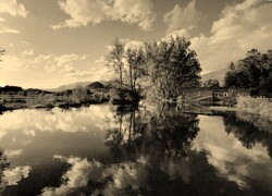 Szary + Sepia