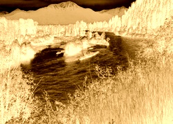Sepia + Negatyw