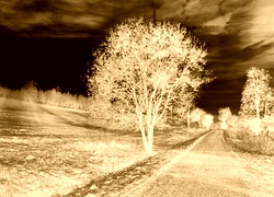 Sepia + Negatyw