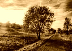 Sepia