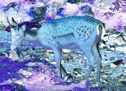 Negatyw