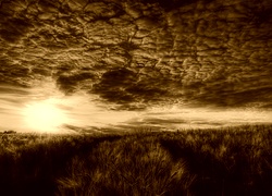 Sepia