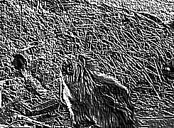 Skamielina