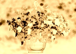 Sepia + Negatyw