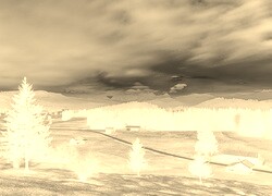 Sepia + Negatyw