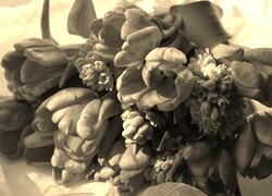 Szary + Sepia