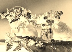Sepia + Negatyw