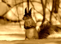 Sepia