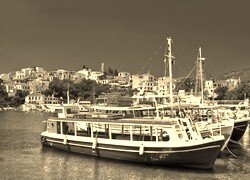 Szary + Sepia