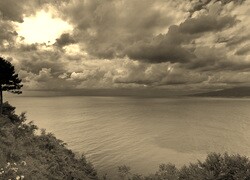 Sepia