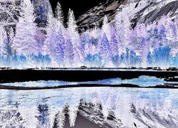 Negatyw