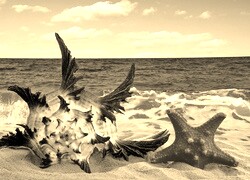 Szary + Sepia
