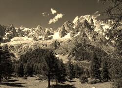 Szary + Sepia