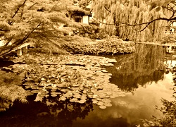 Sepia