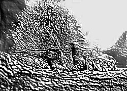 Skamielina