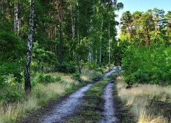 Oryginalny obrazek