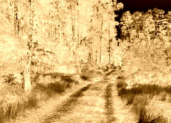 Sepia + Negatyw